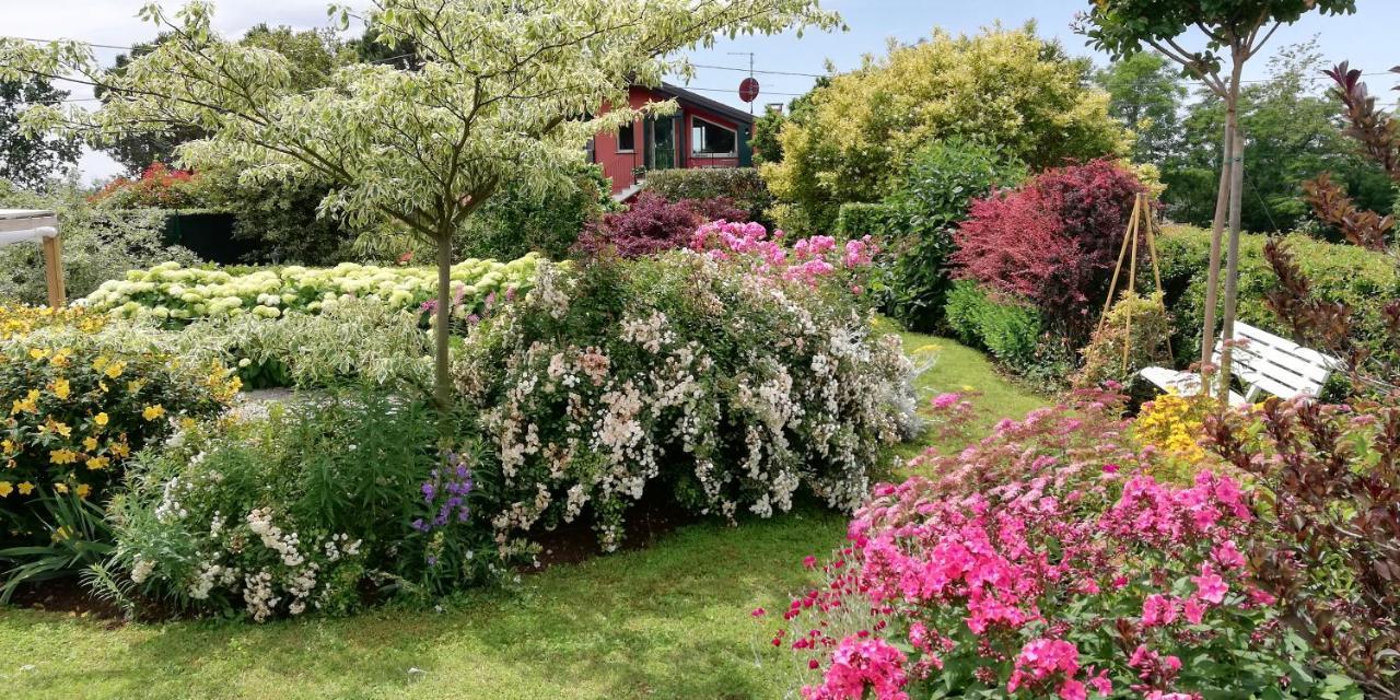 فاريسّي La Collina Since 2008 No Smoking B&B المظهر الخارجي الصورة