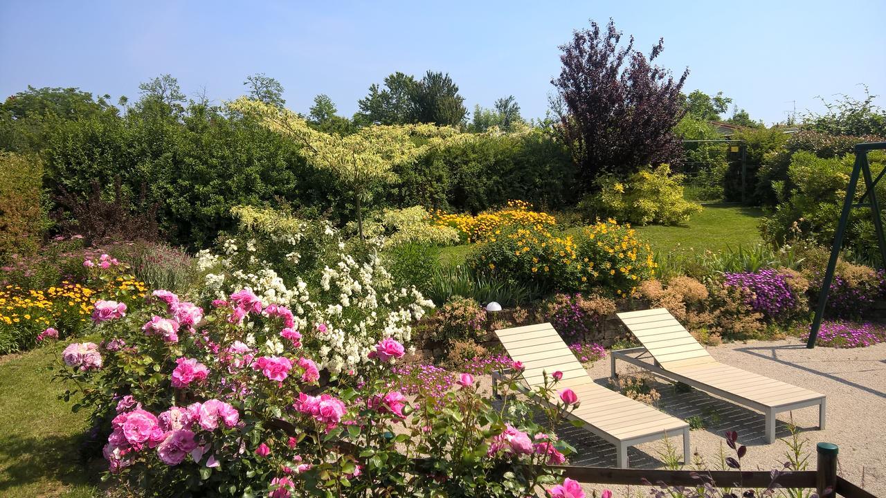 فاريسّي La Collina Since 2008 No Smoking B&B المظهر الخارجي الصورة